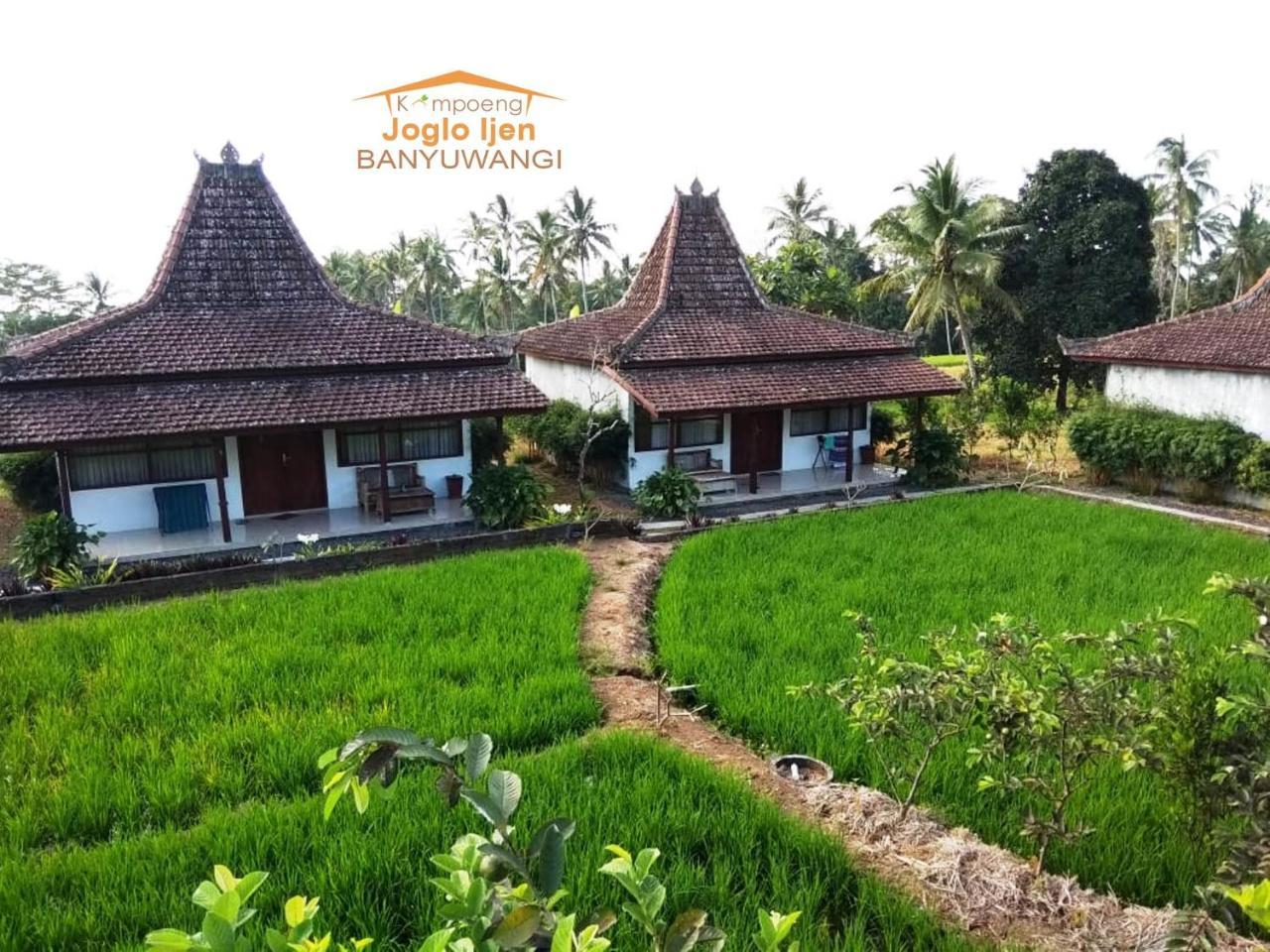 Kampoeng Joglo Ijen Villa *